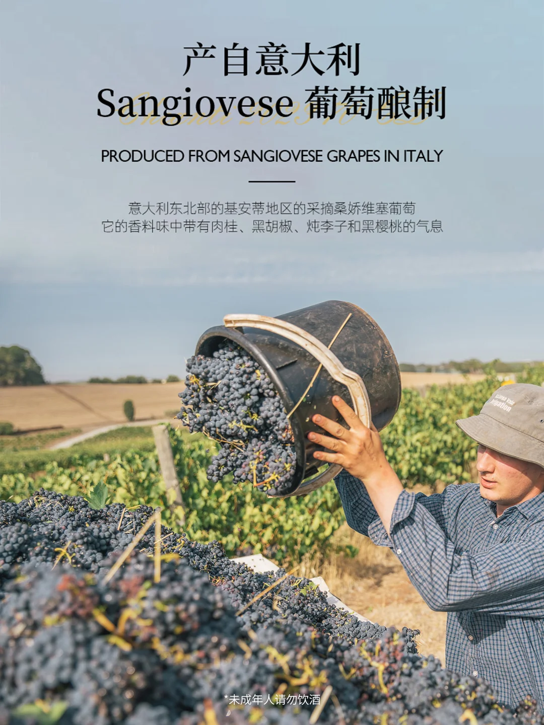 红酒界 “显眼包”！这款闭眼入?