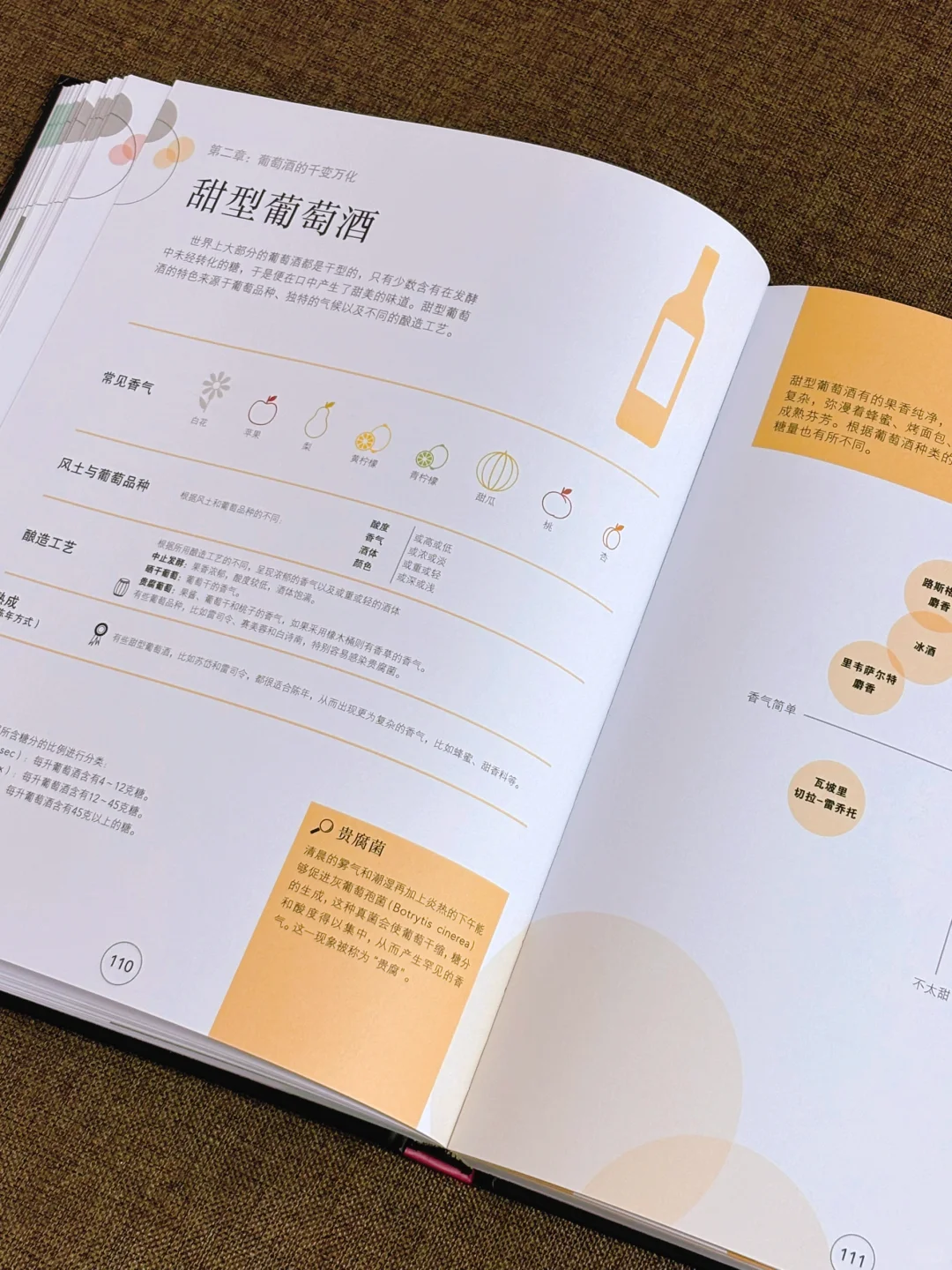 看完这本PPT，你也能成为真正的品酒专家‼️