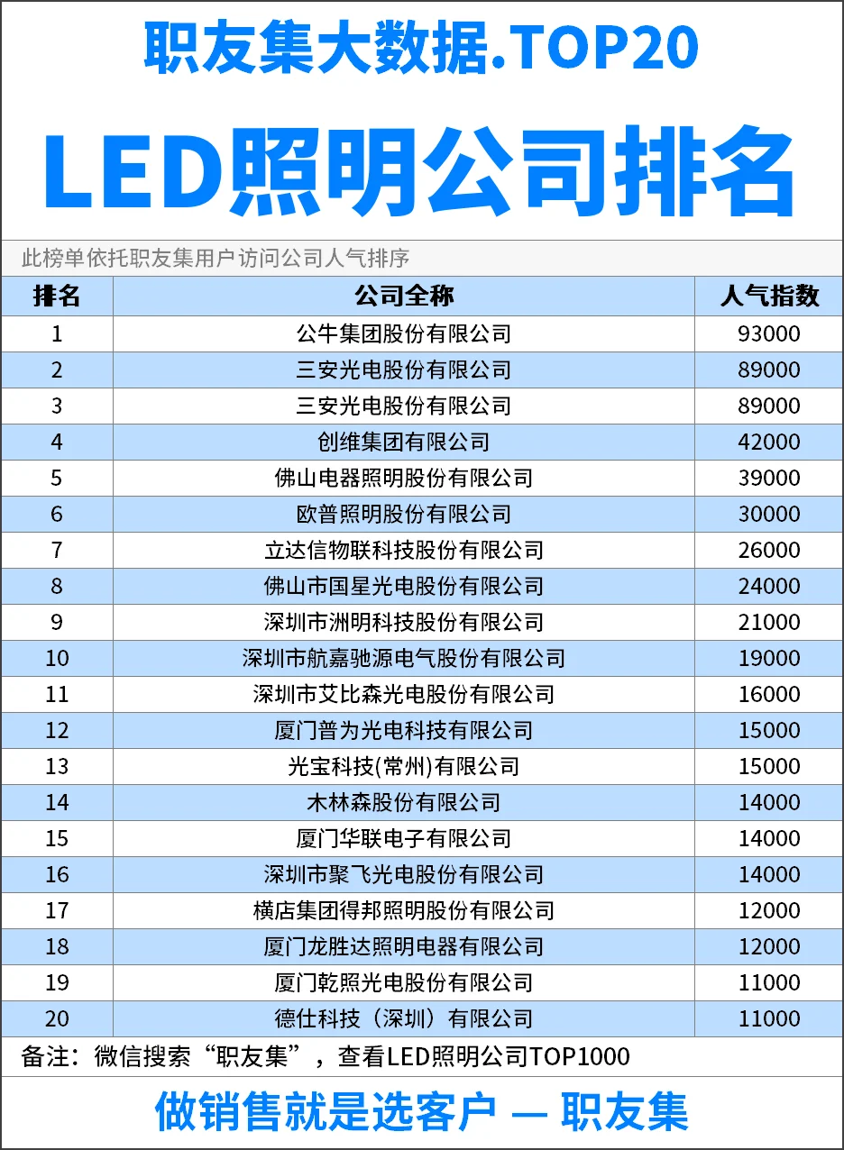 2025年中国‌‌LED照明公司排行榜
