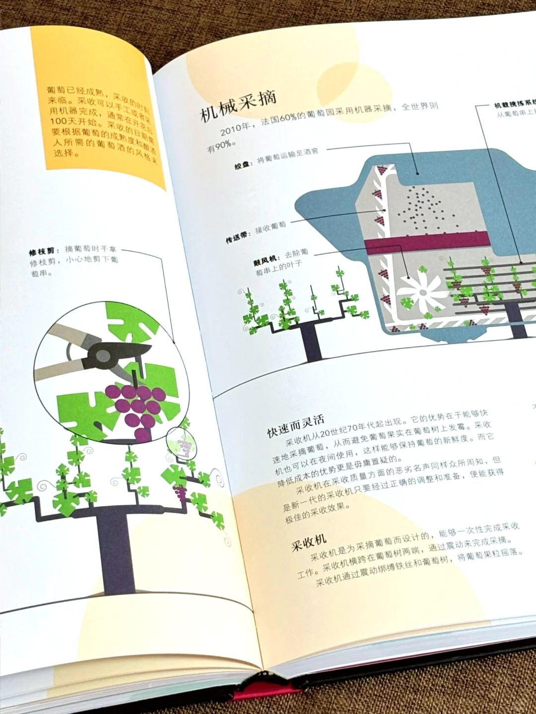 看完这本PPT，你也能成为真正的品酒专家‼️