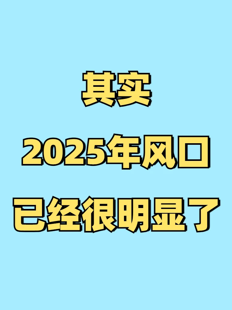 其实，2025年的风口已经够明显了??