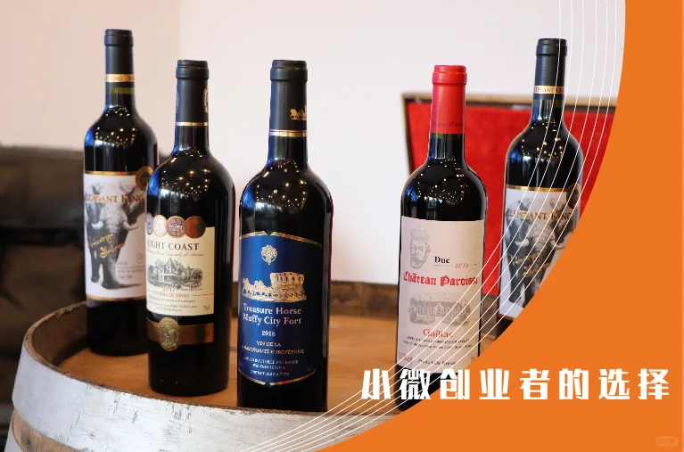 巡酒网的葡萄酒文化培训
