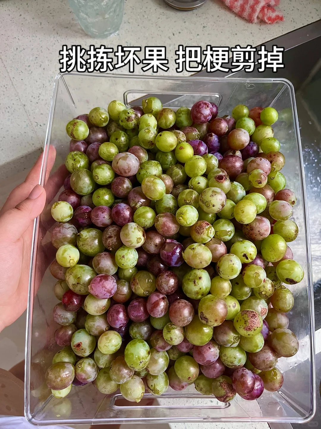 第一次自己做葡萄酒，这算成功了吗❗️❓