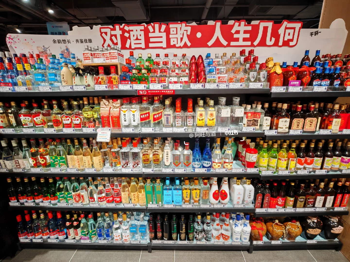 光瓶口粮酒推荐：陈列，对酒当歌人生几何？