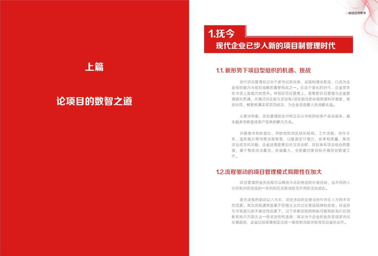 大型企业项目数智化转型白皮书