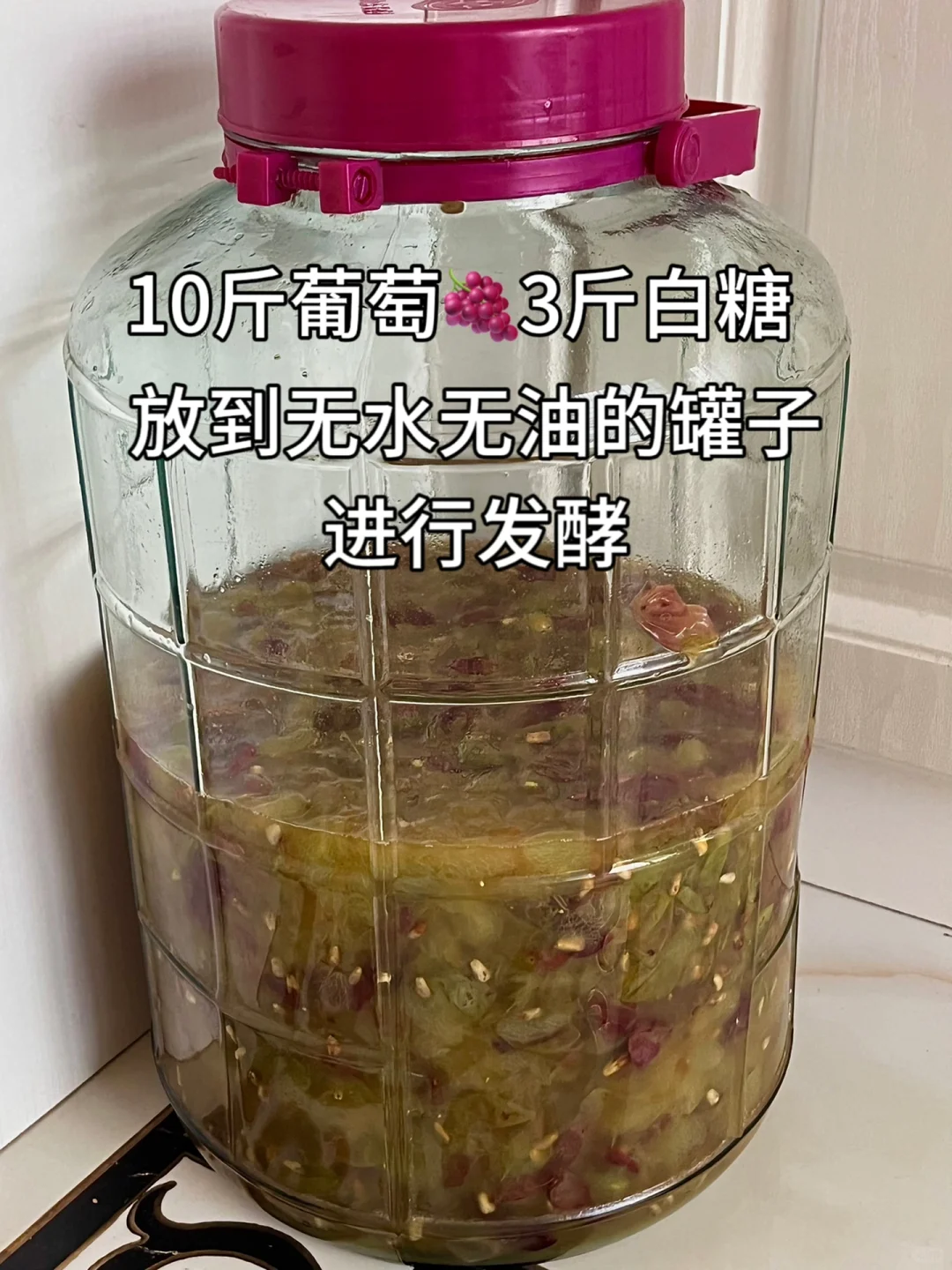 第一次自己做葡萄酒，这算成功了吗❗️❓