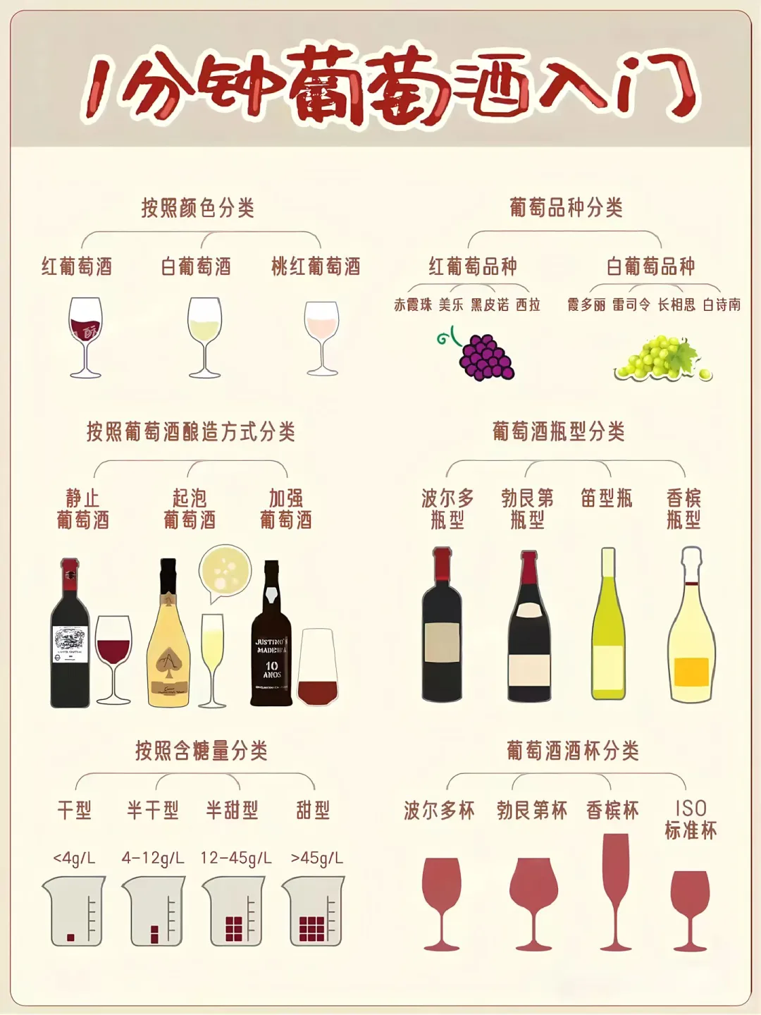 1分钟葡萄酒入门