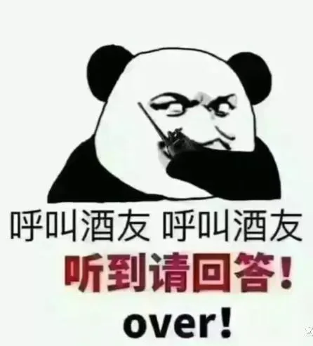 急缺酒搭子
