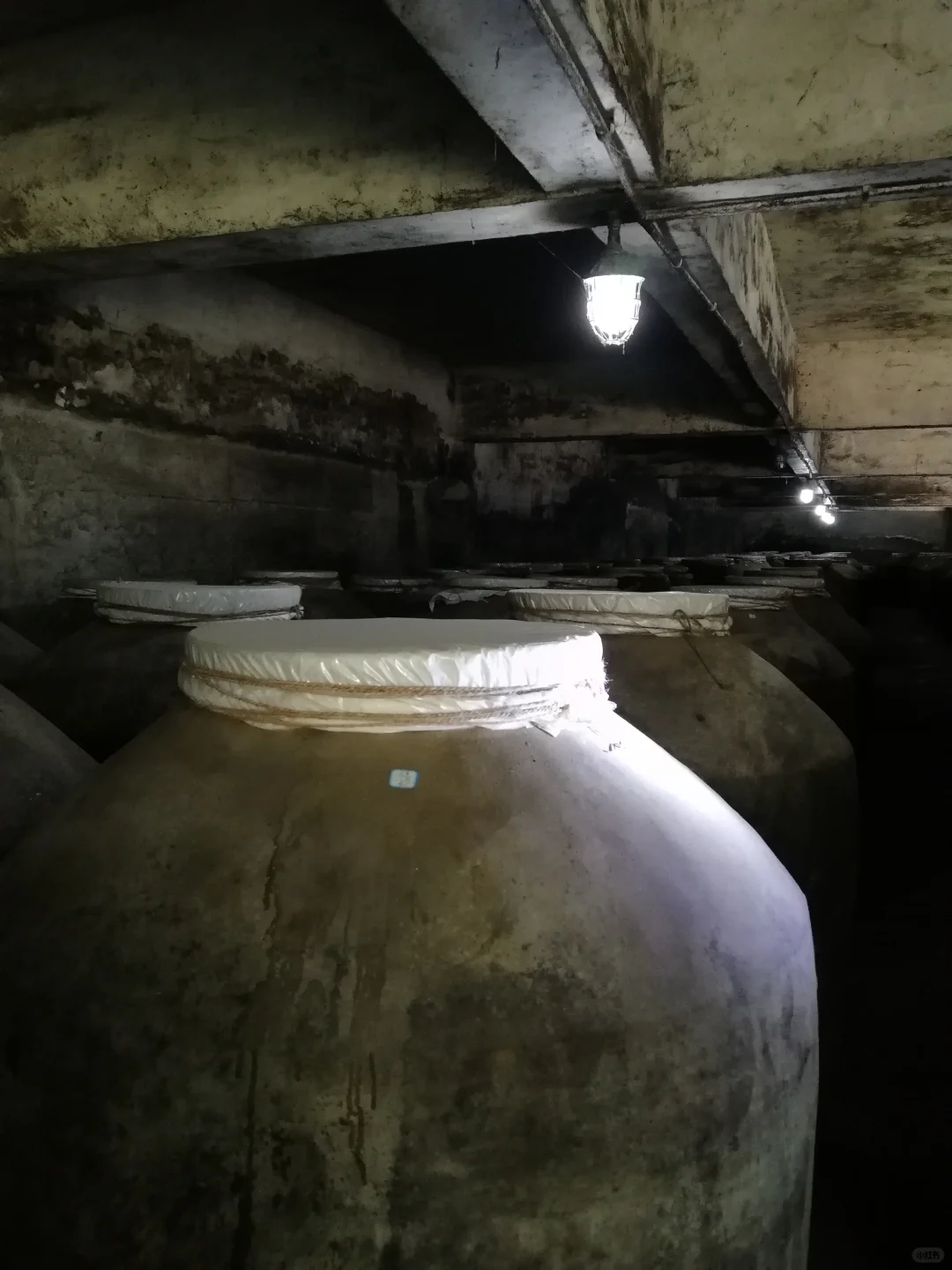 茅台酒会暴跌吗？