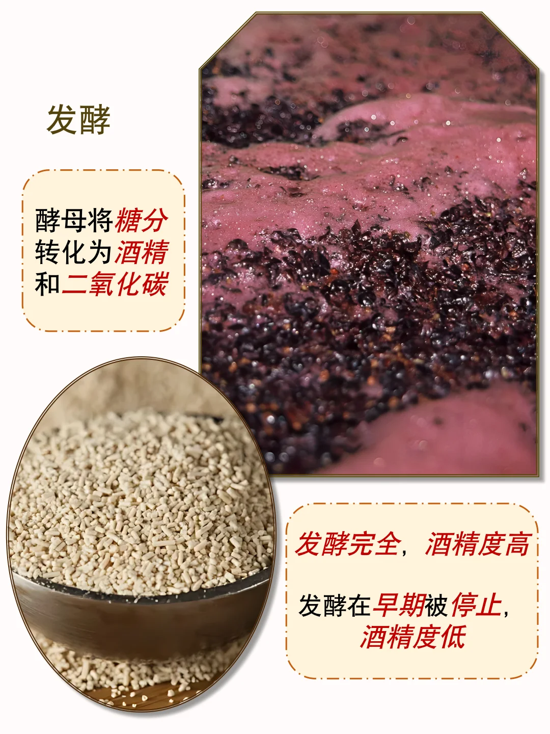 葡萄酒的酒精度