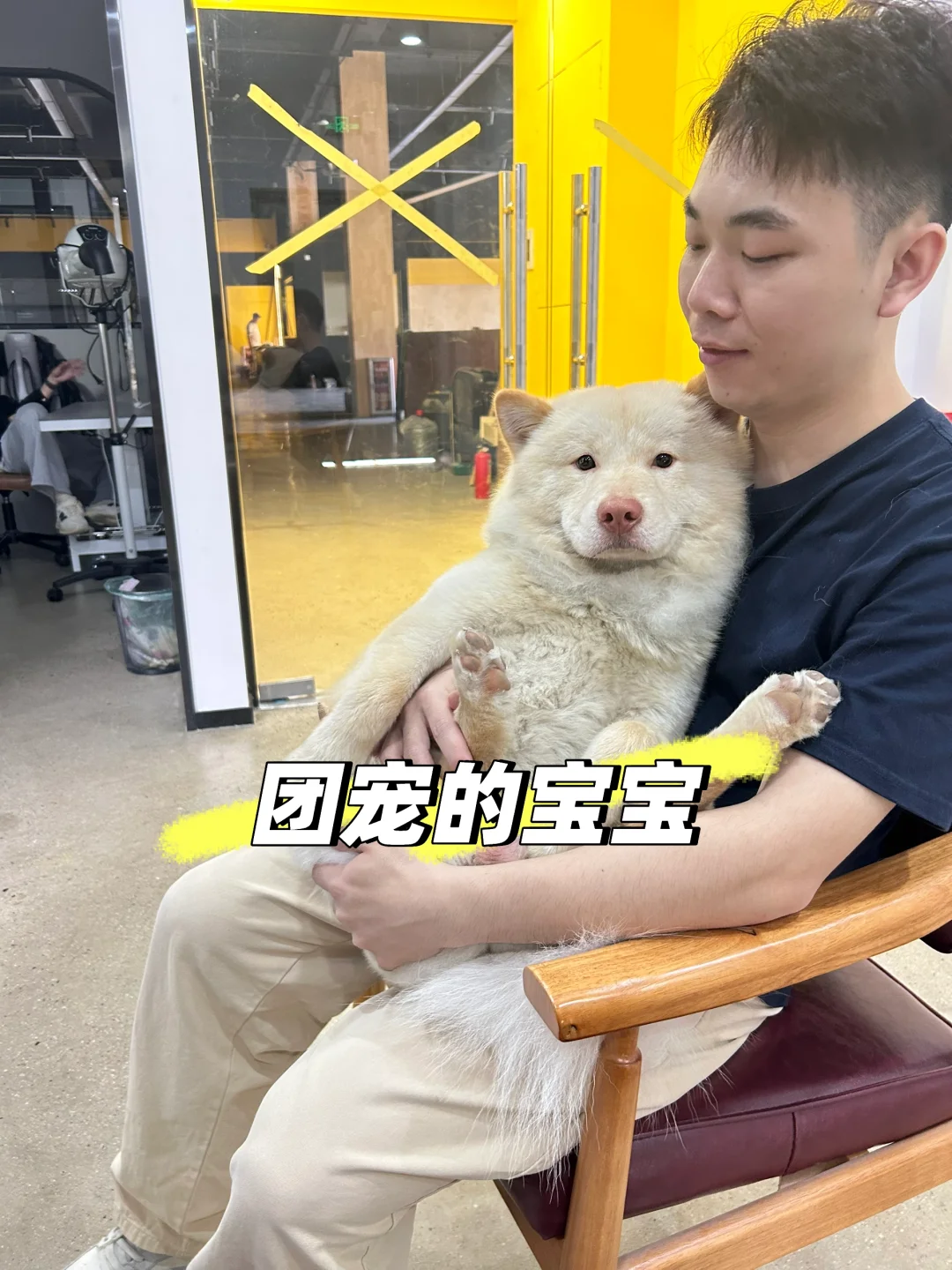 从葡萄酒到宠物店转行，我如何把热爱变事业