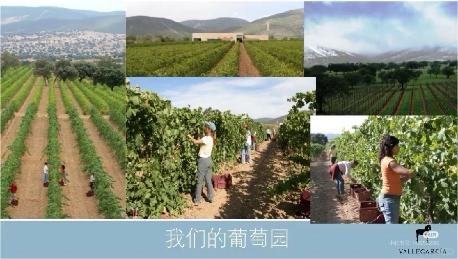 好酒推荐:西班牙??小伊比利亚干红