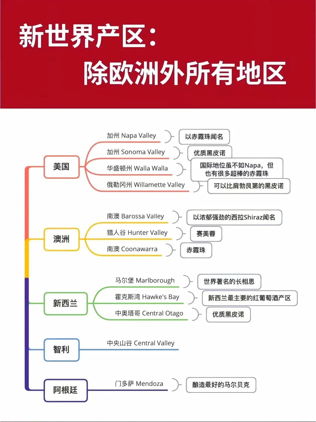 1分钟葡萄酒入门