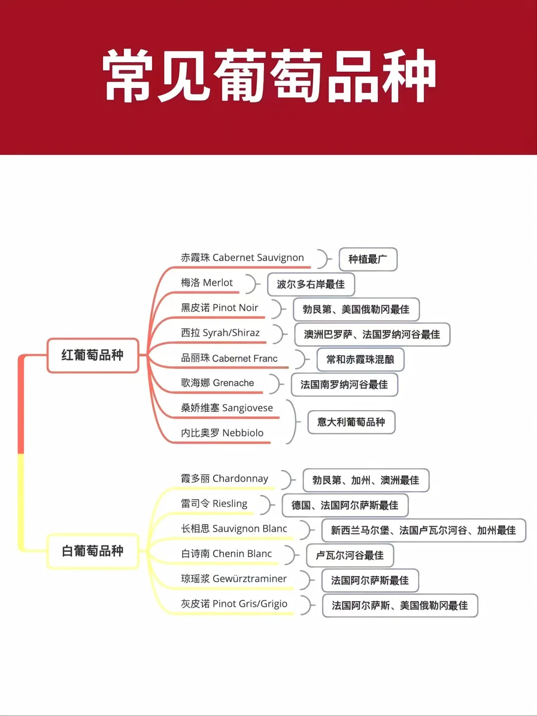 1分钟葡萄酒入门