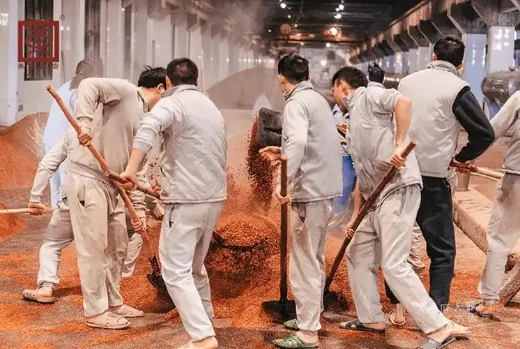 茅台酒会暴跌吗？