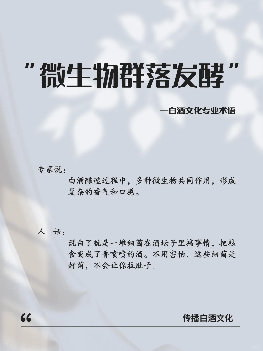 白酒圈 “玄学” 大起底！防忽悠避坑指南