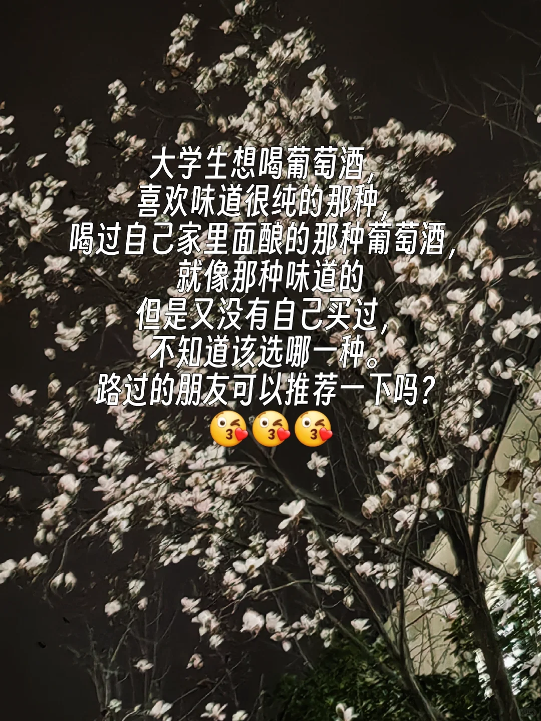 想喝葡萄酒了❤?