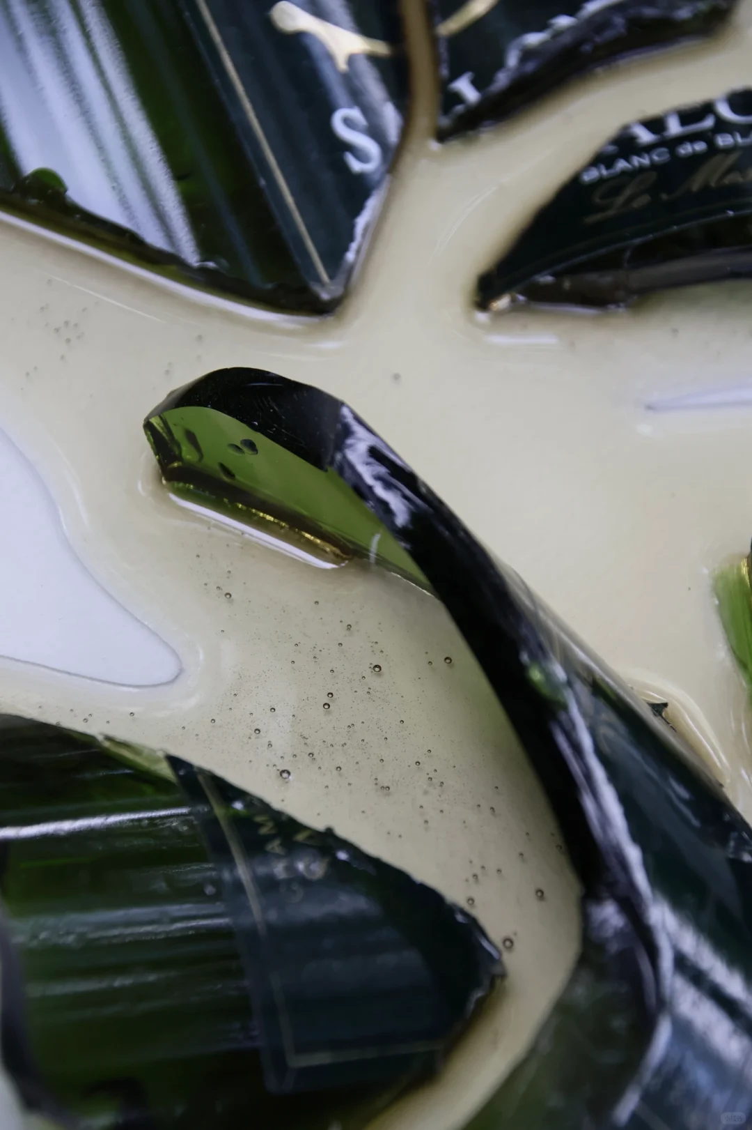 像藏了一瓶森林的氧气 ?