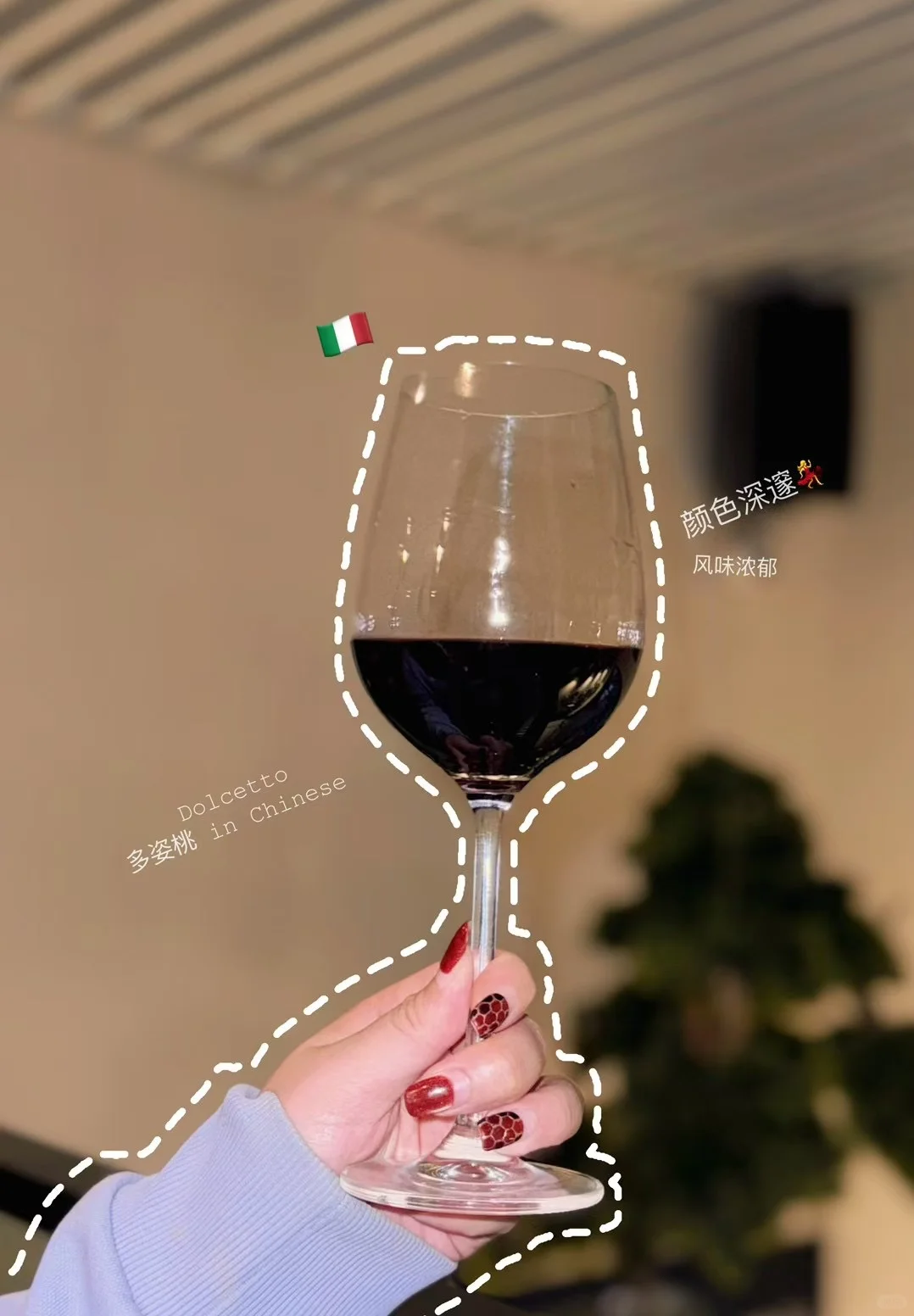 Is ANKI |葡萄酒圈最不正经的品酒师来咯!
