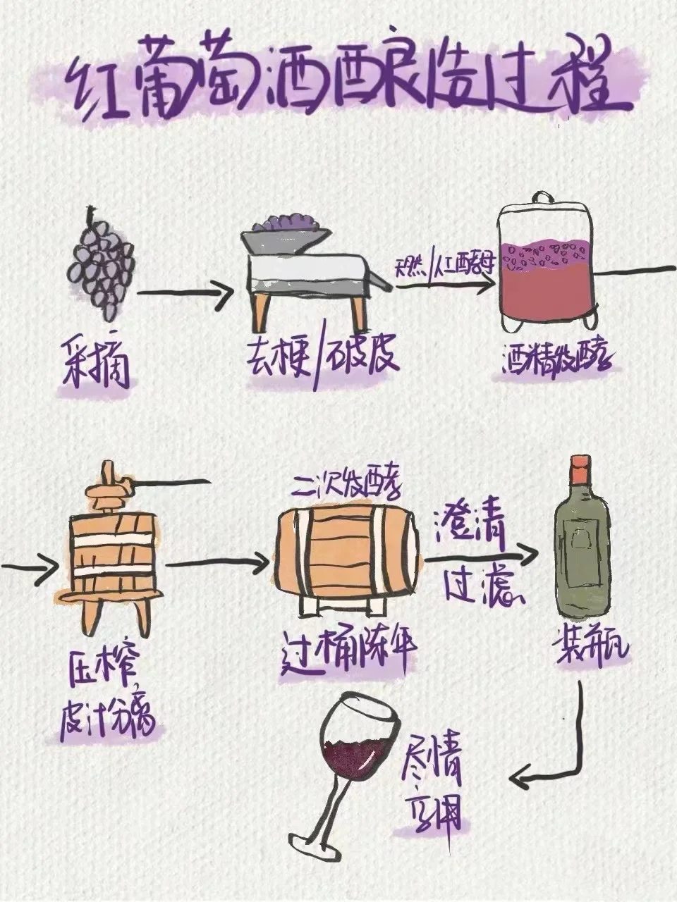 【葡萄酒知识进阶】