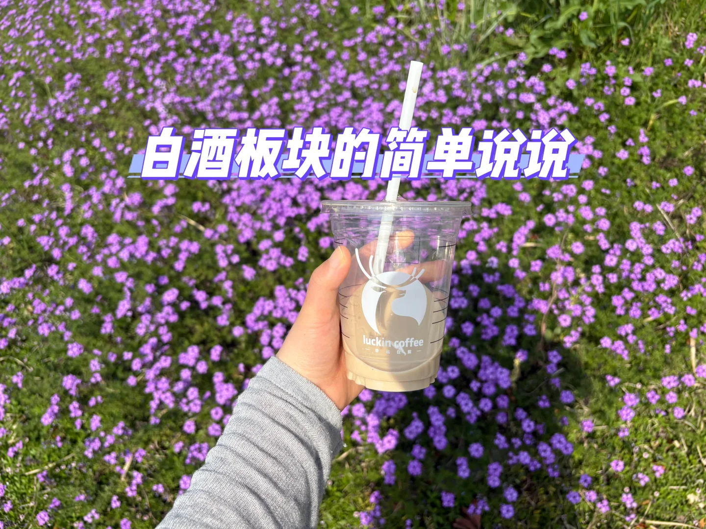 白酒板块还有希望吗