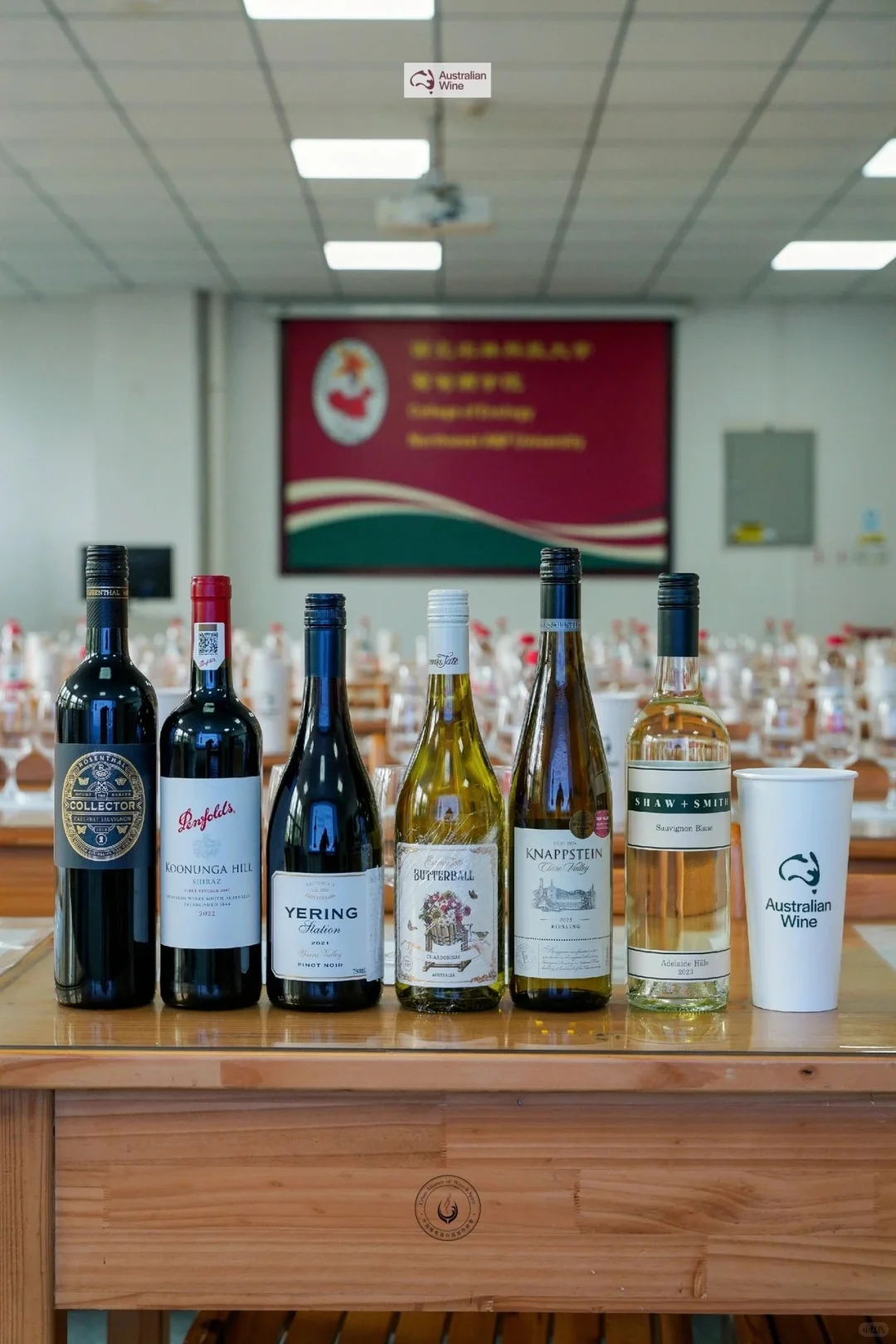 活动总结丨西农之旅 澳洲葡萄酒品鉴