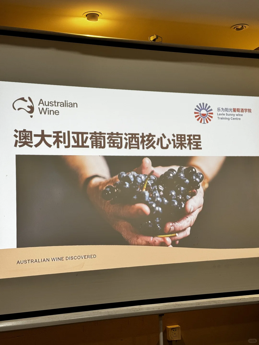 分享几种葡萄酒爱好者快速学习体验的方法