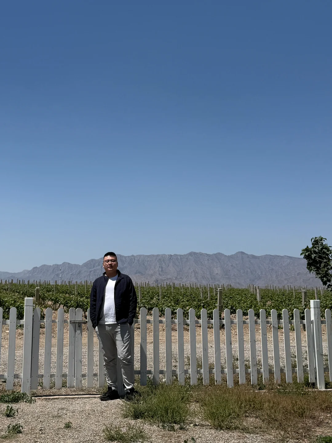 天下黄河富宁夏⛰️贺兰山脚下的葡萄酒庄园?
