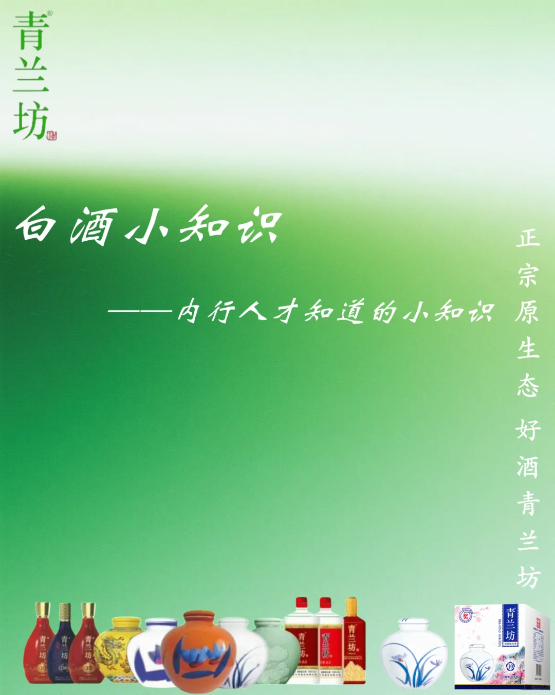 白酒小知识
