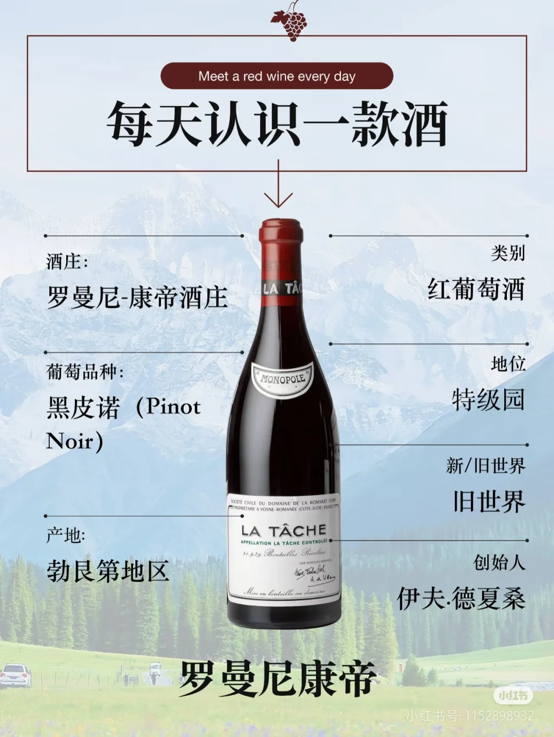 认识一种葡萄酒——黑皮诺
