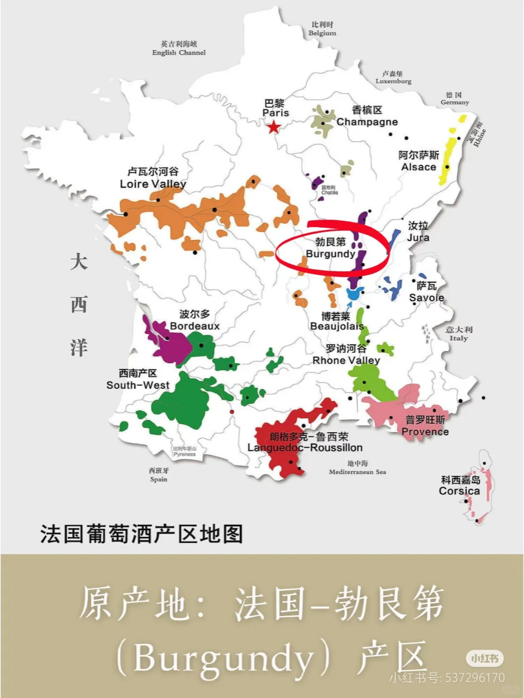 认识一种葡萄酒——黑皮诺