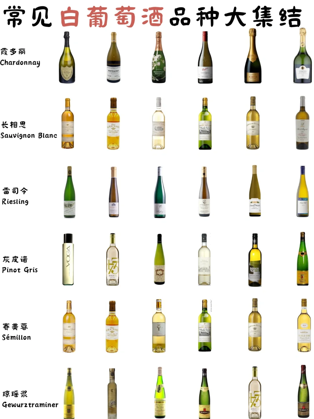 常见白葡萄酒品种大集结❤️制作不易点个赞