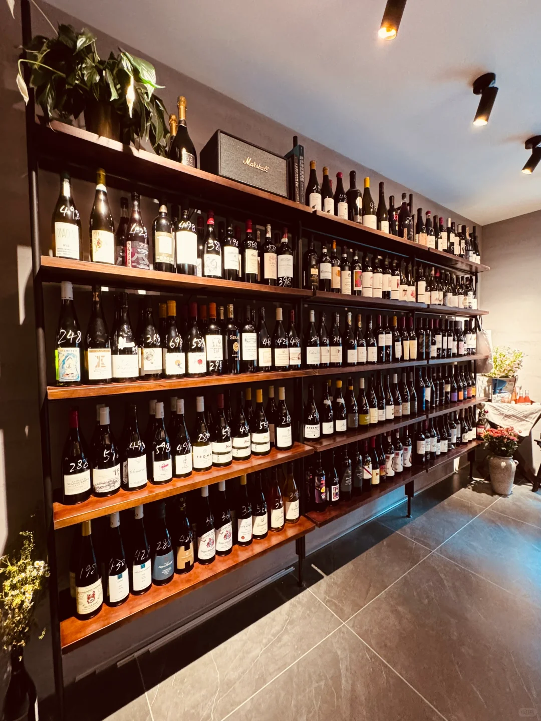 探店长春葡萄酒专业的bar