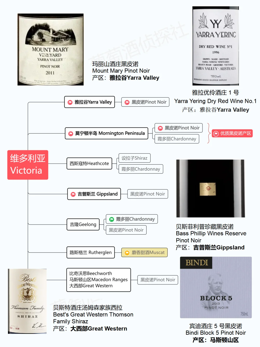 压箱底的选酒攻略，选澳洲酒看这一篇就够了
