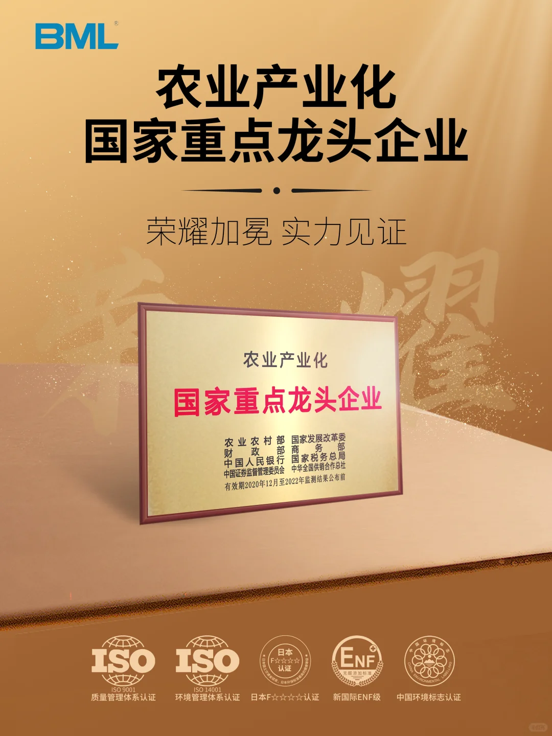 ‼️荣耀加冕•实力见证