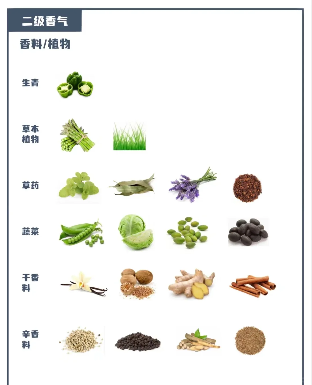 闻香识酒—葡萄酒香气指南