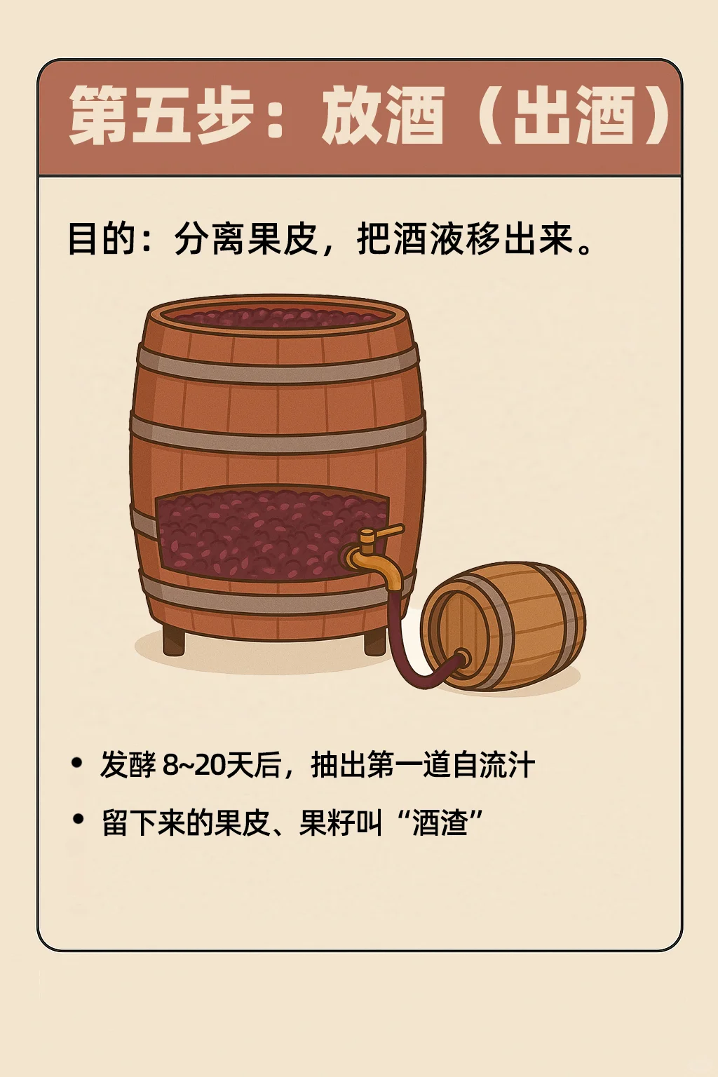 一瓶红酒是怎么酿出来的？看完你就知道了