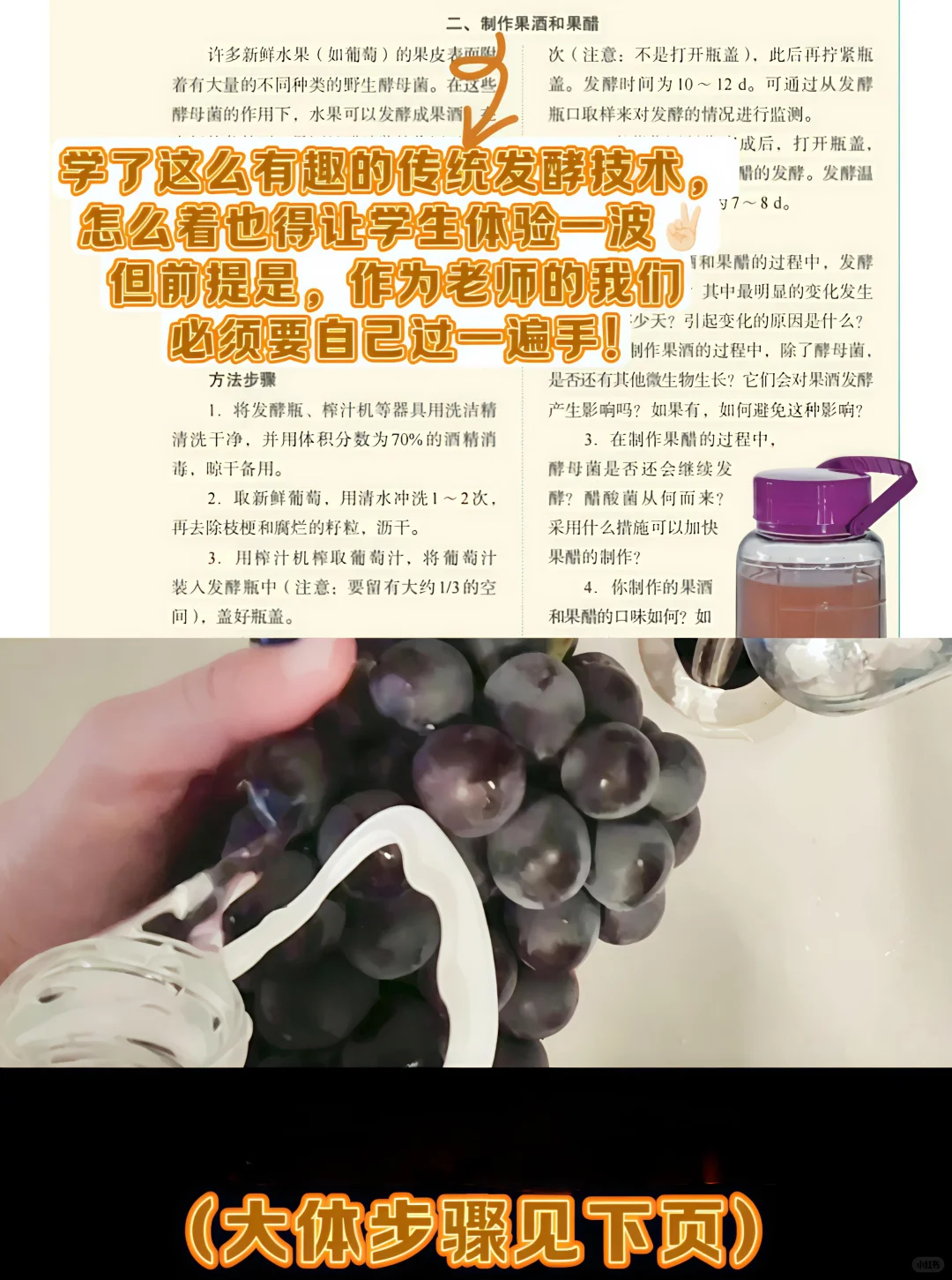 【高中生物果酒制作】超详步骤
