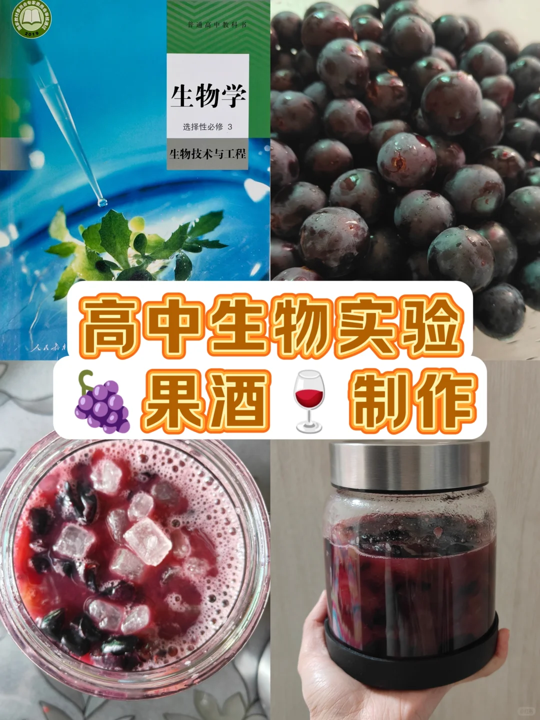 【高中生物果酒制作】超详步骤