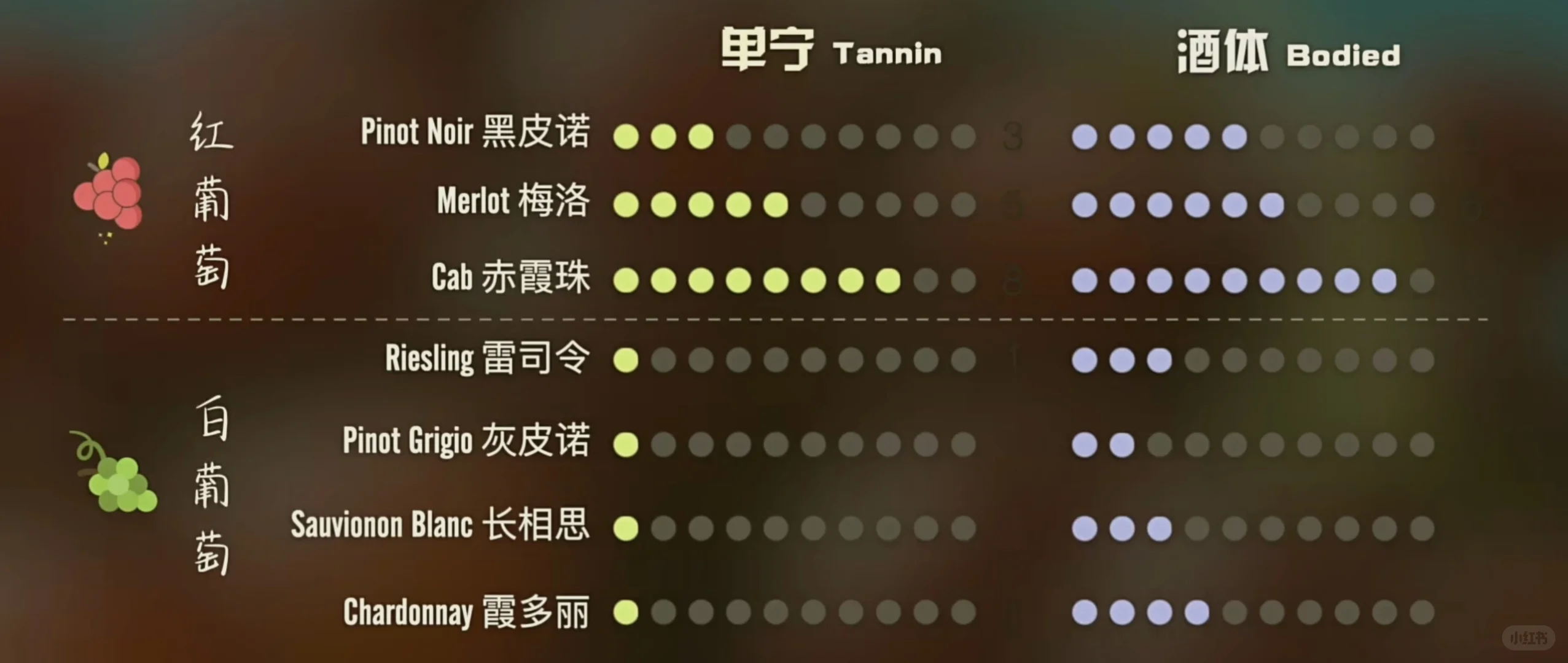 葡萄酒基础知识科普