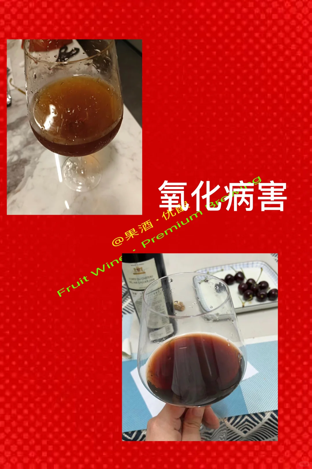 葡萄酒微生物病害及防治