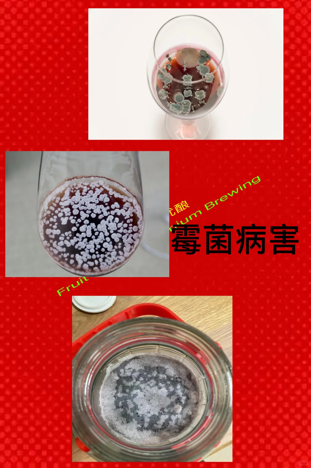 葡萄酒微生物病害及防治