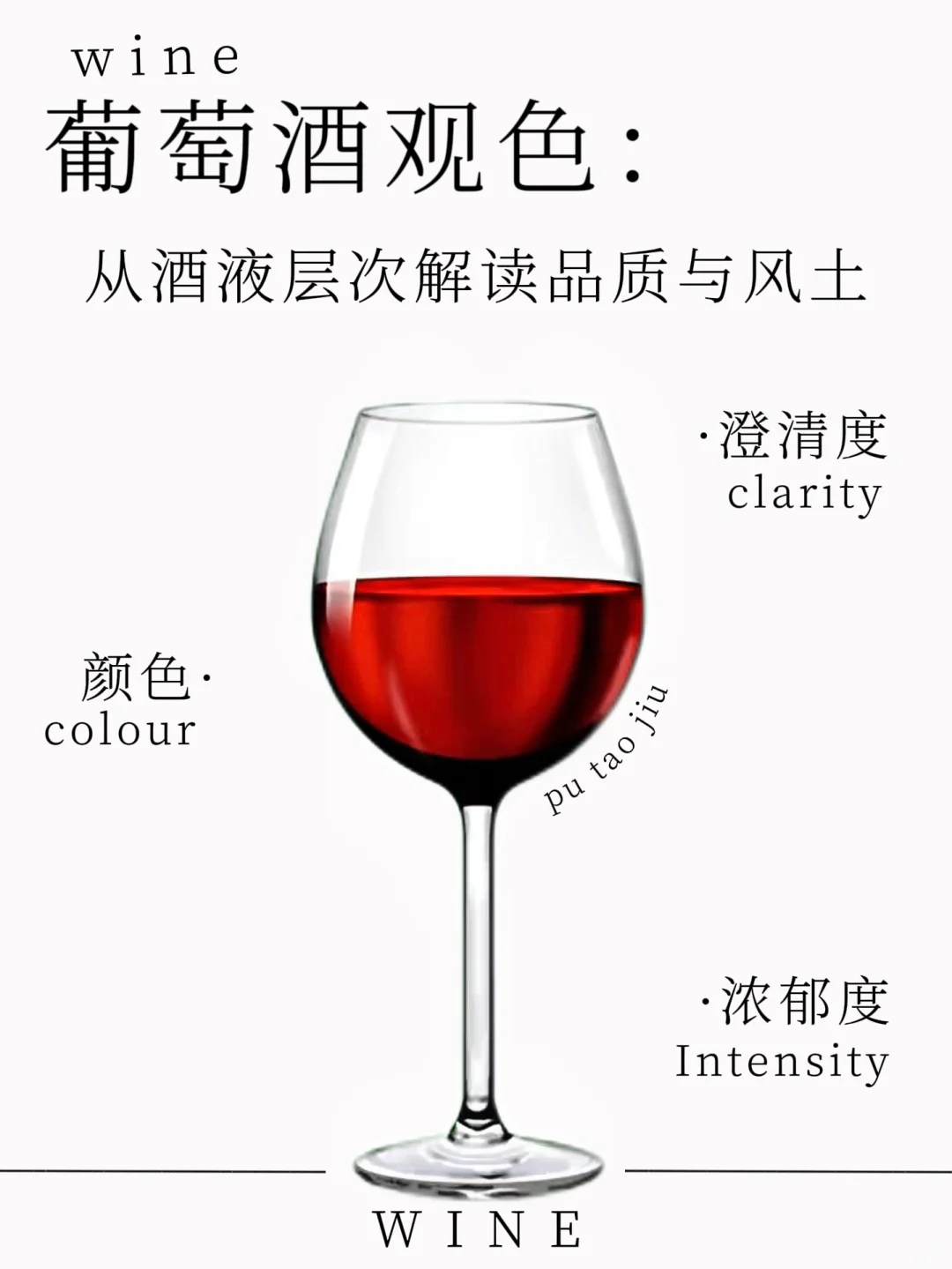 葡萄酒观色：从酒液层次解读品质与风土