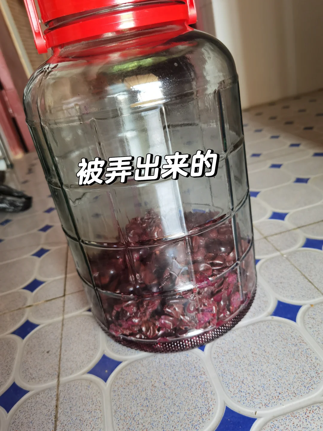 自酿葡萄酒放了酵母，发酵太猛怎么办
