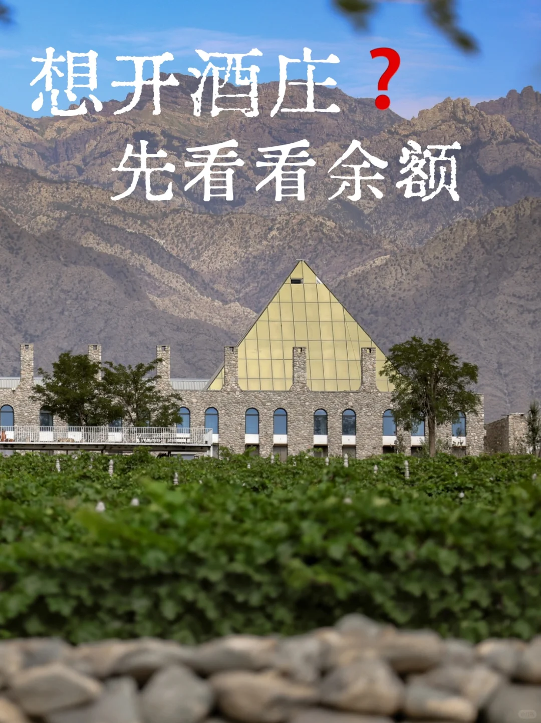 在宁夏，建一个酒庄需要多少钱❓