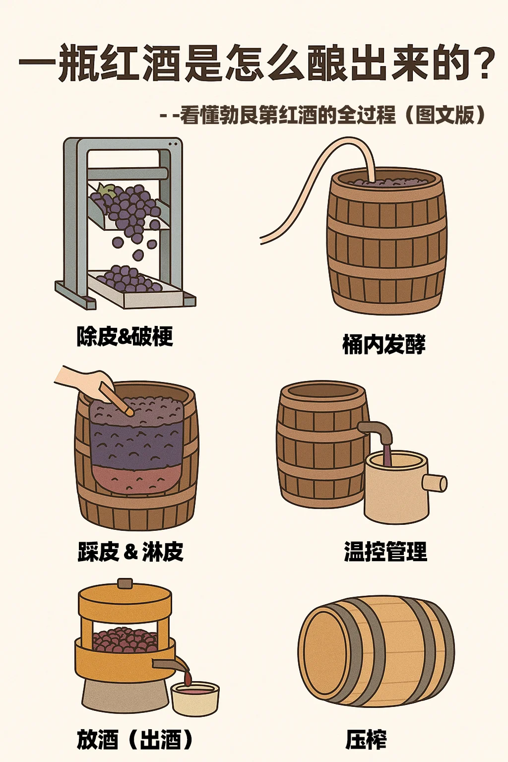 一瓶红酒是怎么酿出来的？看完你就知道了