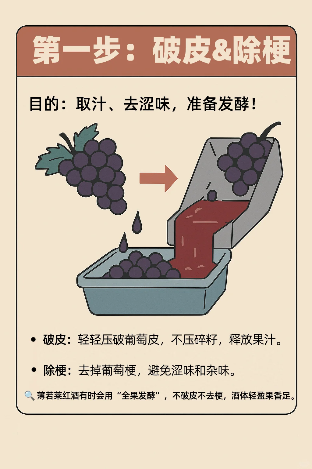 一瓶红酒是怎么酿出来的？看完你就知道了