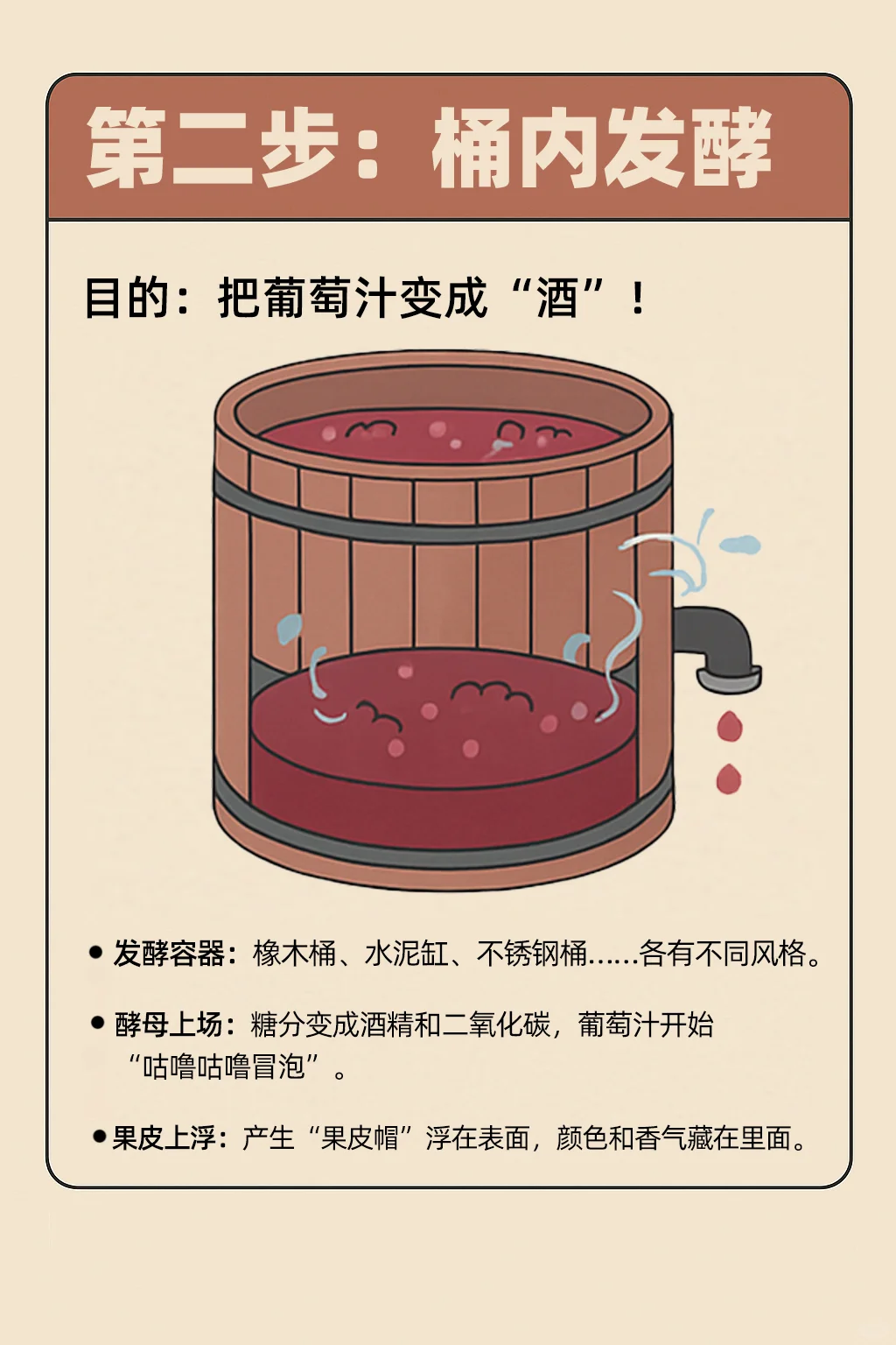 一瓶红酒是怎么酿出来的？看完你就知道了