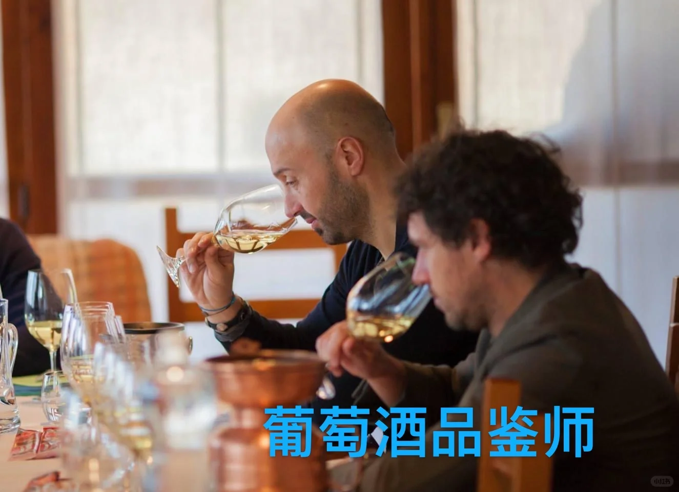告诉你进入葡萄酒行业的九大理想职业