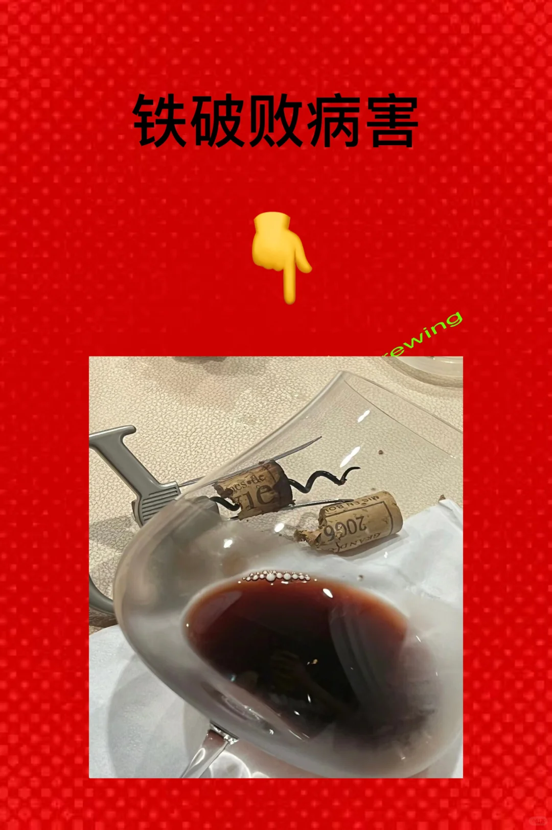 葡萄酒微生物病害及防治